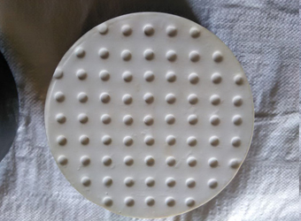 ���ķ���ϩ����֧��